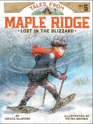 cover image of Lost in the Blizzard